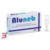 SAKURA ITALIA Srl ALUNEB SOLUZIONE ISOTONICA 15 FLACONCINI DA 4 ML