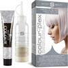 Smart Beauty Metallic Silver Hair Dye | Stylish Silver Toner for Bleached Hair | Demi Permanent Hair Color | Added Plex Hair Anti-Breakage Technology | Smart Beauty Hair Color