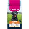 Eukanuba Premium Nutrition Junior Large & Giant Breed Pollo - 15 kg