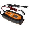 Beta tools Beta 1498H/8A - Caricabatterie e mantenitore automatico - 12/24V
