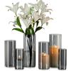 Glasseam Vaso di Vetro Grande Grigio: 6pcs Vasi Cilindrici Moderni per Decorazioni da Tavola Centrotavola - Vasi A Uragano per Decorazioni Rose Tulipani Pampa Portacandele Decorativi (15/20/25cm)