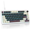 SOLIDEE tastiera gaming meccanica 75 percento,Tastiera Retroilluminata RGB,tastiera meccanica hot swappable/tastiera Gasket,82 tasti TKL NKRO Compatto tastiera con manopola del volume(82 Roman)