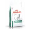 Royal Canin Veterinary Health Nutrition Dog Diabetic Alimento Dietetico Secco per la Gestione del Diabete nel Cane 1,5 Kg