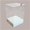 LUCGEL Scatola Trasparente Espositiva con Fondo Carta H30 mm Bianco Effetto Fibra 180x180H150mm 5 Pezzi
