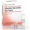 GUNA SPA Heel Glandula Thyroidea Suis Injeel 10 Fiale