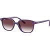 Ray-Ban Occhiali da Sole Ray-Ban Leonard Junior RJ 9093S (713136)