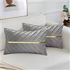 MAIXUN Federe Cuscini Grigio 30x50 Lussuoso Decorativi in Velluto Oro Banda Copricuscini per Divani Soggiorno Imbottiture Sedie Pallet Camera da Letto Divano Morbidi Cerniera Nascosta Set di 2
