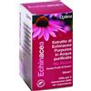 OPTIMA NATURALS Srl Optima Echinacea Junior Estratto Forte Senza Alcool 50 ml