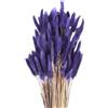 QUARKZMAN 120pz Coda di Coniglio Naturale Fiori Secchi 43cm Mini Erba di Pampa per Decorazioni Floreali Matrimonio Natale, Viola