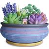 ARTKETTY Vaso per Piante Grasse, Vaso Bonsai in Ceramica con Vassoio di Drenaggio Grande Contenitore per Piante Cactus e Fiori