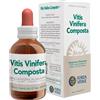 forza vitale Ecosol vitis vinifera composta gocce 50 ml