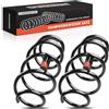 Frankberg 2x Molle autotelaio Compatibile con DS3 SA 1.6 VTi 120 1.6 THP 165 1.6 HDi 115 1.6 THP 155 1.6 HDi 90 1.6 HDi 110 1.6 THP 150 1.4 HDi 70 1.6 BlueHDi 120 1.6 BlueHDi 2009-2015 RA3419