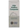 FORZA VITALE ITALIA Srl Ecosol vitis vinifera composta gocce 50 ml - FORZA VITALE - 901398356