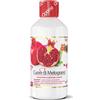 OPTIMA NATURALS Srl CUORE DI MELOGRANO OXY4 500ML