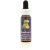 NATUR Srl Snapdragon Essenza Singola Californiana Flower Essence Society 7,4ml