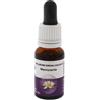 NATUR Srl Macrozamia Essenza Singola Australian Living Essences 15ml