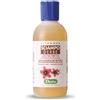 DERBE Srl Derbe Vitanova Sciampo Igienizzante Antiforfora 200ml