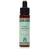 NATUR Srl Formula 11:11 Desert Alchemy Flower Essences 10ml