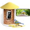 NETVUE by Birdfy Mangiatoia per uccelli con fotocamera, mangiatoia per uccelli con fotocamera per uccelli selvatici, mangiatoia per uccelli con video, visione notturna a colori interi, telecamera