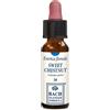 ERBA VITA GROUP SPA SWEET CHESTNUT ORIGINAL 10ML
