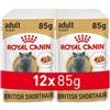Royal Canin British Shorthair Cat Food - 12 x 85 GR Pacchetto - Totale: 1020 gr
