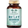 SALUGEA RESET INTESTINO