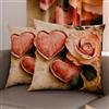 PETTI Artigiani Italiani - Coppia di Federe Cuscino 45x45 cm in Microfibra, Cuscini Arredo Camera da Letto, Divano, Salotto, Set 2 Fodere Copricuscino, Federa Shabby 332, 100% Made in Italy