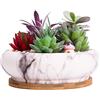 ARTKETTY Vaso per Piante Grasse, Grande Vaso Bonsai con Vassoio di Drenaggio Vaso in Ceramica per Piante Cactus da Interno Vaso Fioriera in Marmo