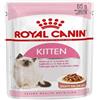Royal Canin Kitten | 12 x 85 g | Cibo umido per gattini | Pezzetti fini in salsa | Specialmente per gattini nella seconda fase di crescita fino a 12 mesi