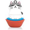 leizhan 64GB Chiavetta USB ad Alta Velocità Pen Drive Carino Gatto Design Memory Stick per la Famiglia Studente Amico