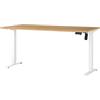 GERMANIA DIE MÖBELMACHER Germania Scrivania 8024-242, in rovere Navarra repro/bianco, regolabile elettricamente in altezza, 160 x 119 x 80 cm (LxAxP)