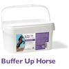 N.B.F. LANES Srl Buffer Up Horse - 20 buste da 30 grammi - Supporto muscolare per cavalli sportivi