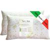 GM COPPIA Cuscini Letto Guanciali per Dormire Imbottiture Standard Antiacaro Anallergico Traspirante per letto Matrimoniale Singolo con Federa Aloe Lavabile Made in Italy