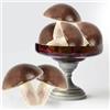 Tuxiaobu Funghi finti, 6 funghi finti in plastica, decorazione di frutta artificiale