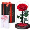 Touloube Festa della Mamma Rosa Stabilizzata Vera Regalo Donna in Cupola Vetro - Regalo di San Valentino, Donna Regalo Compleanno, Rosa Eterna Idee Regalo Mamma Moglie Fidanzata Nonna, per Anniversario