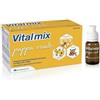 MONTEFARMACO OTC SpA Vitalmix Pappa Reale 10 Flaconcini - Energia Naturale per Adulti e Bambini