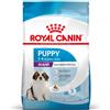 Science Plan Large Puppy con Pollo - 12KG