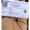 Argento 925 certificato in laboratorio + 7 pendenti Mukhi RUDRAKSHA Rudraksh ...