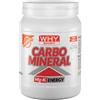 WHY SPORT CARBO MINERAL 400 GRAMMI Arancia