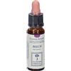 Beech Original Gocce 10 ml
