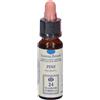 Erba Vita Pine Original Gocce 10 ml