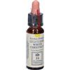 White Chestnut Original 10 ml
