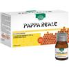 Esi Pappa Reale Integratore Tonico 10 Flaconi