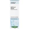 Mirtillo Erba Vita Mirtillo Ro Fgl Tint Ial 50Ml 50 ml Soluzione orale
