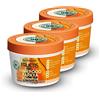 Garnier Maschera Garnier HAIR FOOD Papaye