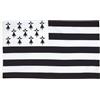 AZ FLAG Bandiera Bretagna 90x60 cm Poliestere 100D 2 Occhielli | Uso interno ed esterno bandiera decorativa della Bretagna Bretagne doppie cuciture e bordi rinforzati con occhielli metallici