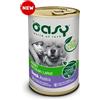 Oasy one protein umido cane anatra 400gr