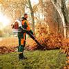 Stihl Soffiatore spalleggiabile BR700