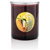 Pernici 1892 Citrus Fruits & Vetiver Candela Profumata 900gr