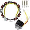 Angrebuild 592830 Statore alternatore adatto per 10-16 Amp, Repacle 394890 393374 691185 696458 691064 S2546 S1742 SST18 X330 Z225 Z245 Z422 5 Z43 Tosaerba 5 Z445 Z465 con regolatore di tensione elettrico 394890